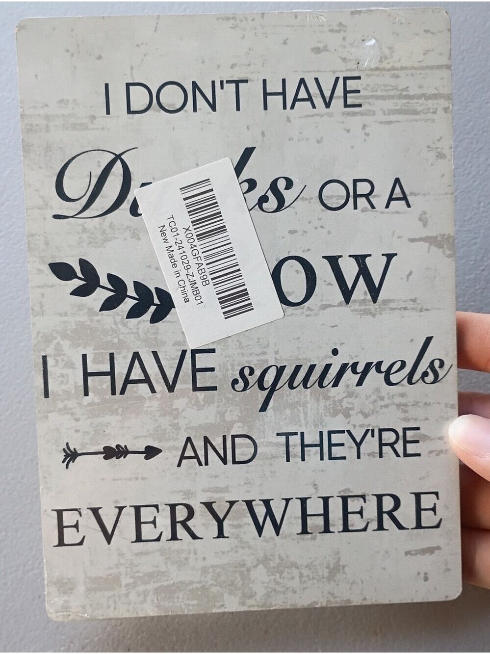 Ducks Row Squirrels Everywhere Wooden Wall Sign